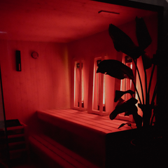 "CALDA" Pro Sauna — 3-in-1 Dry Heat, Steam & Infrared Cabin by G-TEC